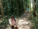 gibbon (41)